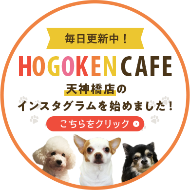 HOGOKEN CAFE天神橋店のインスタグラムを始めました！毎日更新中！　クリック