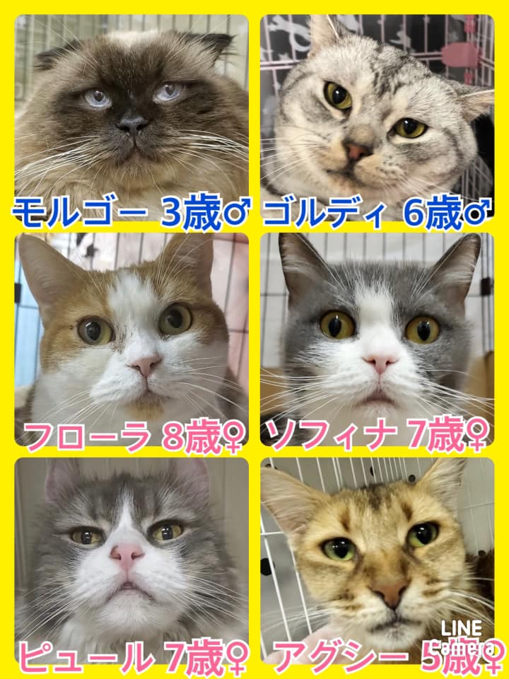 ブログ ブログ