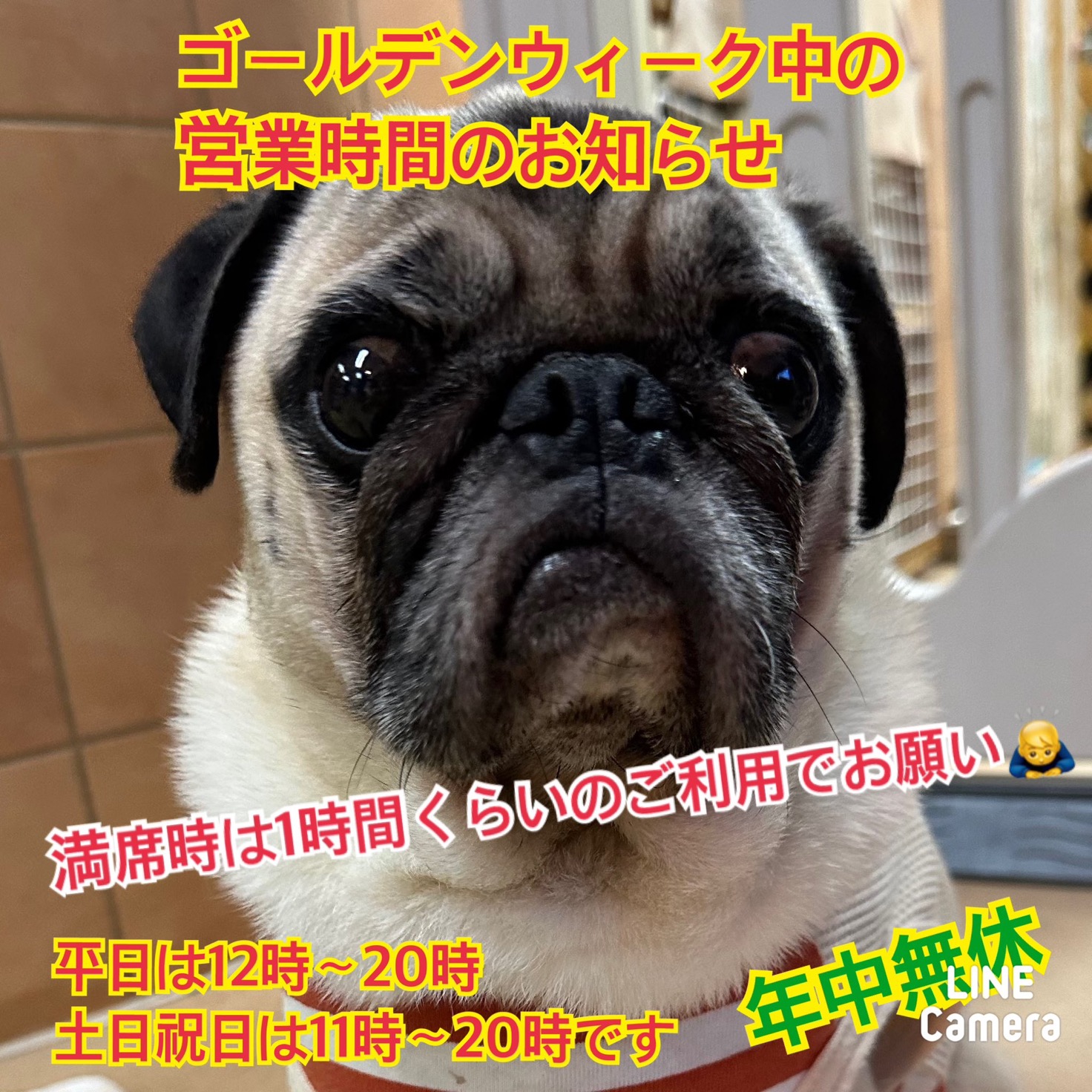⭐️GW後半の営業時間⏰のお知らせ⭐️2024,5,1【保護犬カフェ天神橋店】