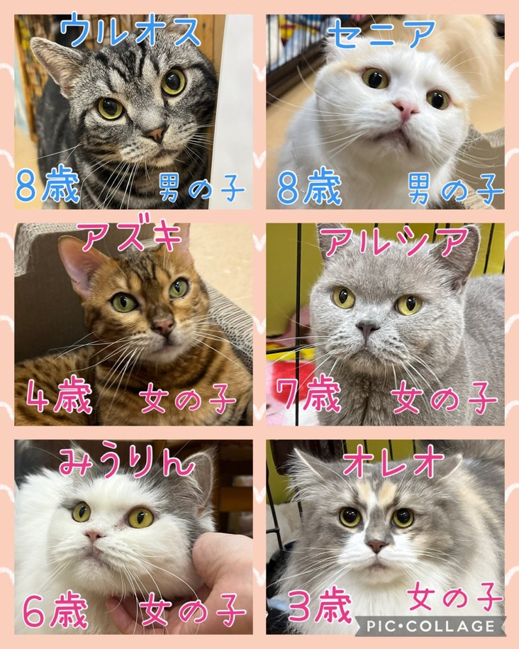 2025,4,21