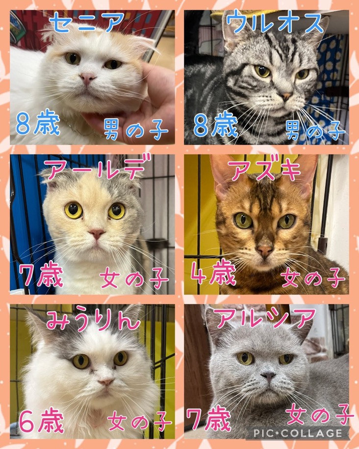 2025,5,12