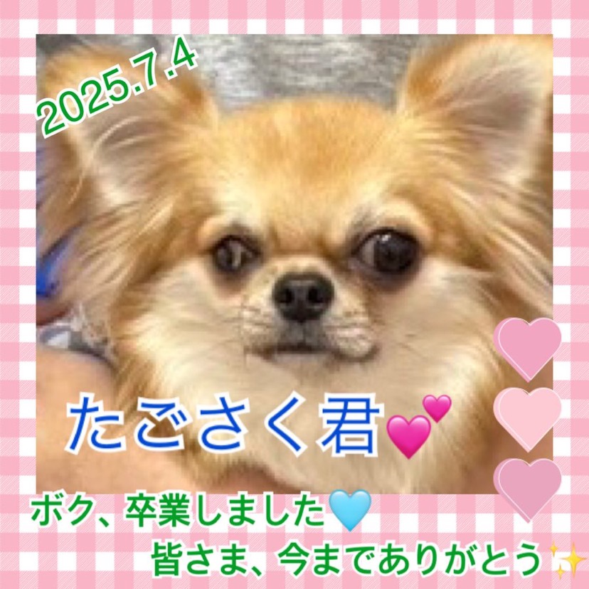 2025,7,4ー7,8