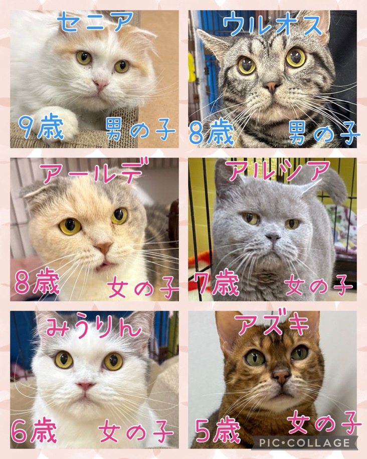 2025,10,4