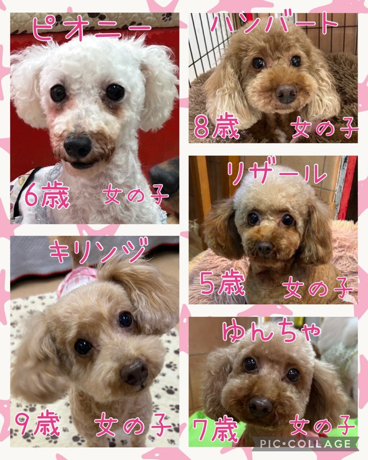 2015,10,6
