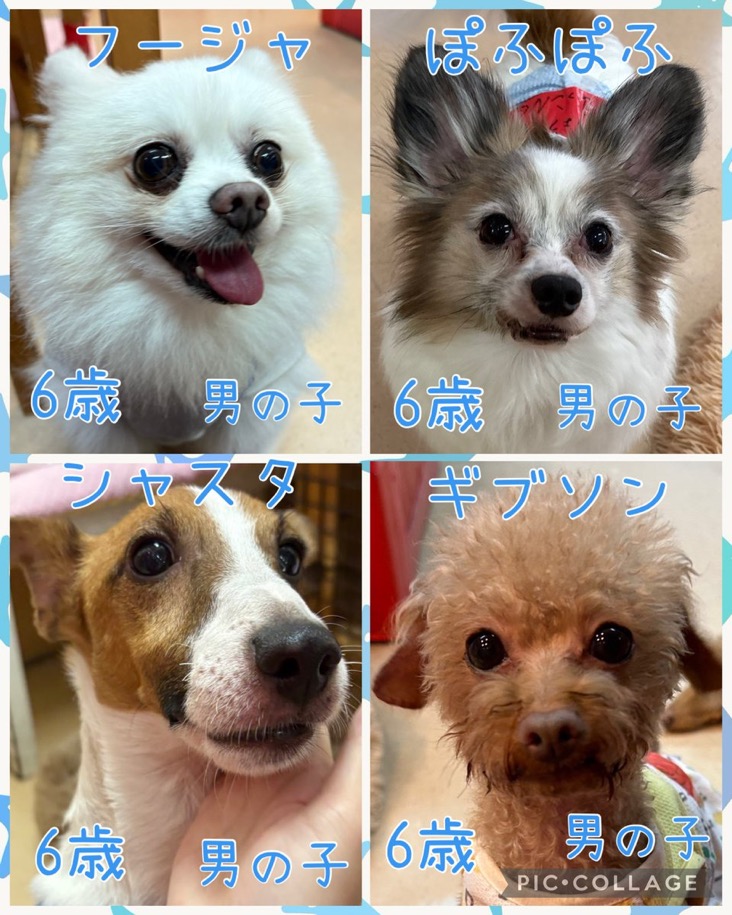 2015,10,6