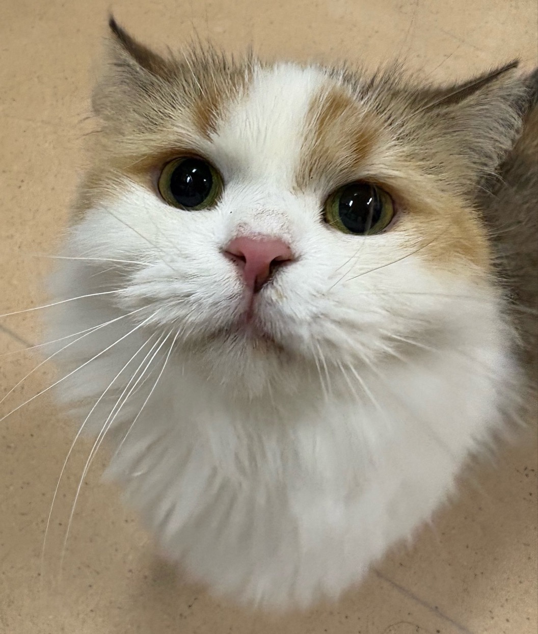 2026,9,22