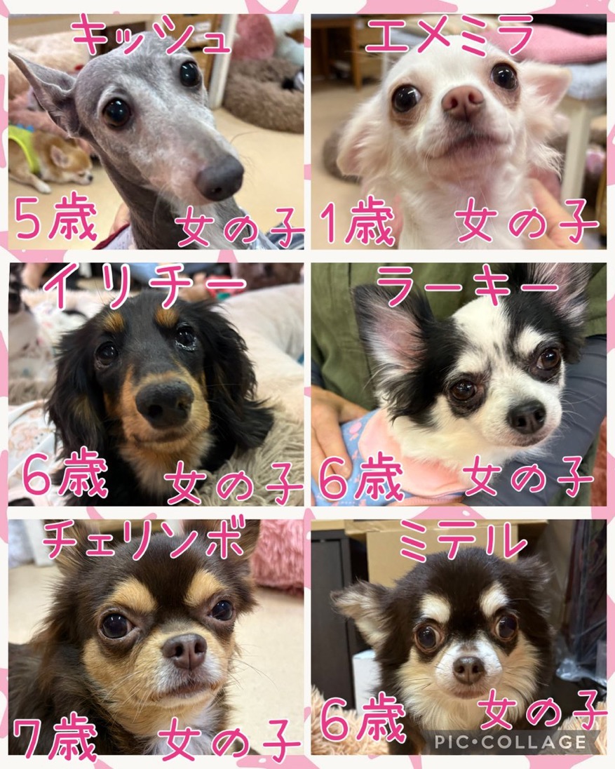 2026,9,29