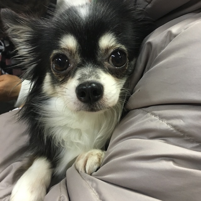 【運命の赤い糸見～つけた💓ネアン君💕、ひじきちゃん💕、ビューコちゃん💕】No1