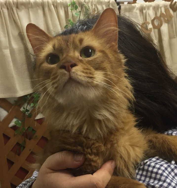 支援物資をいただきました😄いつもありがとうございます💑新メンバーもやってきたよ🐾