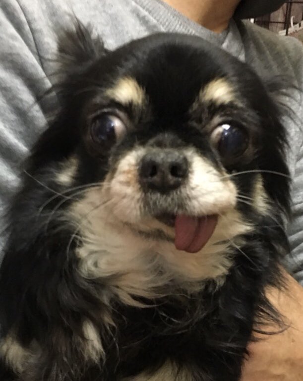 🐾新メンバー🔰ご紹介🐾No,1 2020,5,1