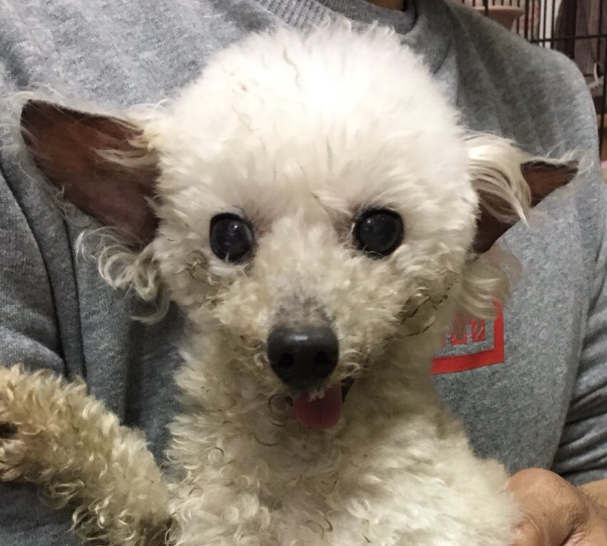 🐾新メンバー🔰ご紹介🐾No,1 2020,5,1