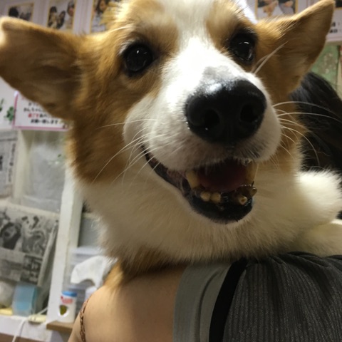【今月お誕生日🎂の子たちに、バースデー卒業✨の応援をお願いします🙇】