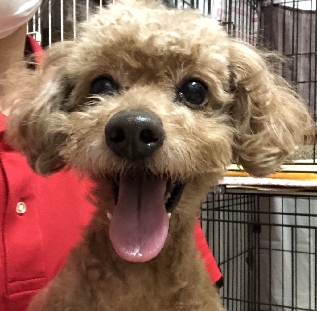 🐾新メンバー🔰ご紹介🐾2020,4,3